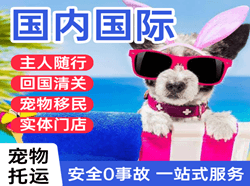 阳江合山机场快运国际宠物托运 【国